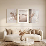 Pampas Beige - Composition