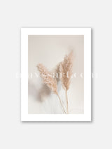 Soft Pampas Interior  - Poster