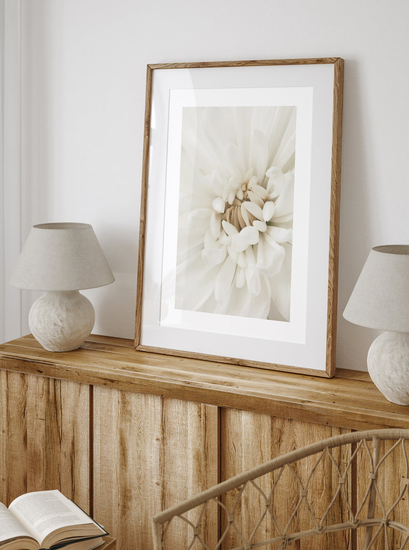 Close up White Flower  - Poster