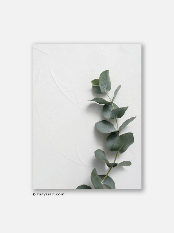 Eucalyptus Leaf - Poster