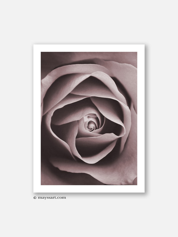 Purple Rose Flower - Poster