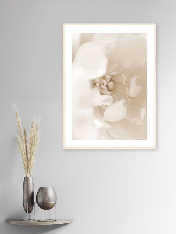 Beige Flower Petals- Poster