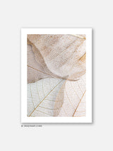 Beige and White Leaves - Poster