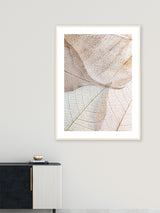 Beige and White Leaves - Poster