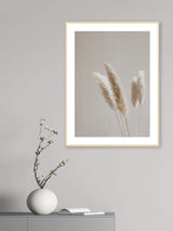 Beige Pampas - Poster