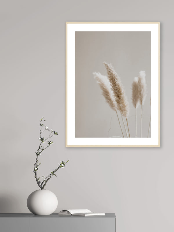 Beige Pampas - Poster