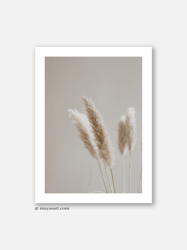 Beige Pampas - Poster