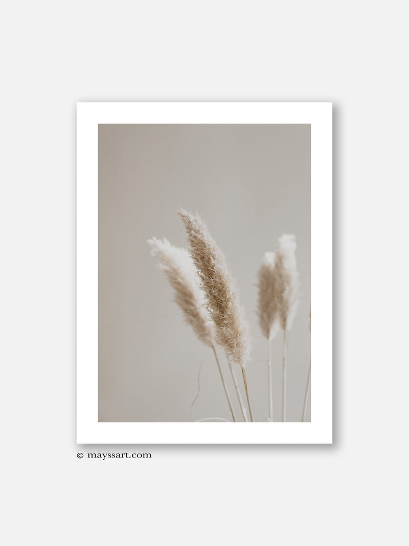 Beige Pampas - Poster