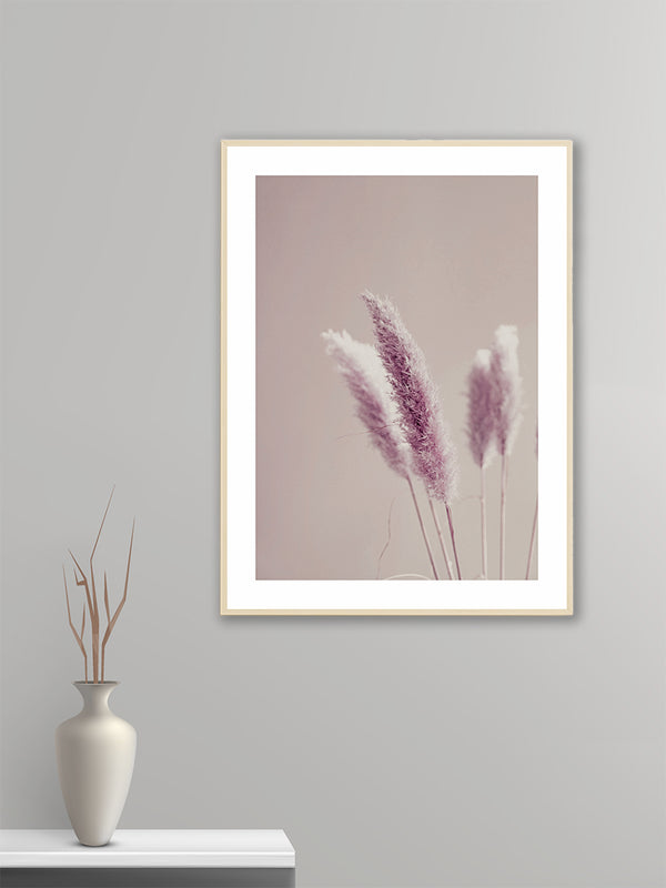 Pink Pampas - Poster