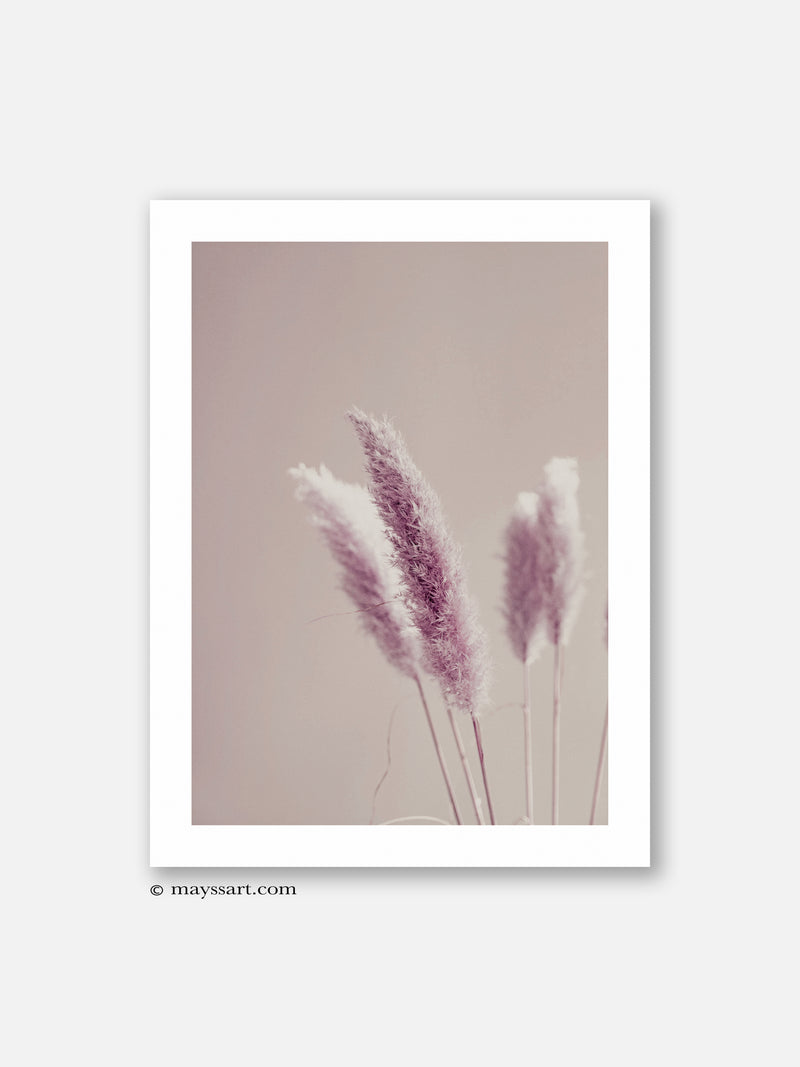 Pink Pampas - Poster