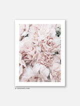 Peonies Pink Bouquet - Poster