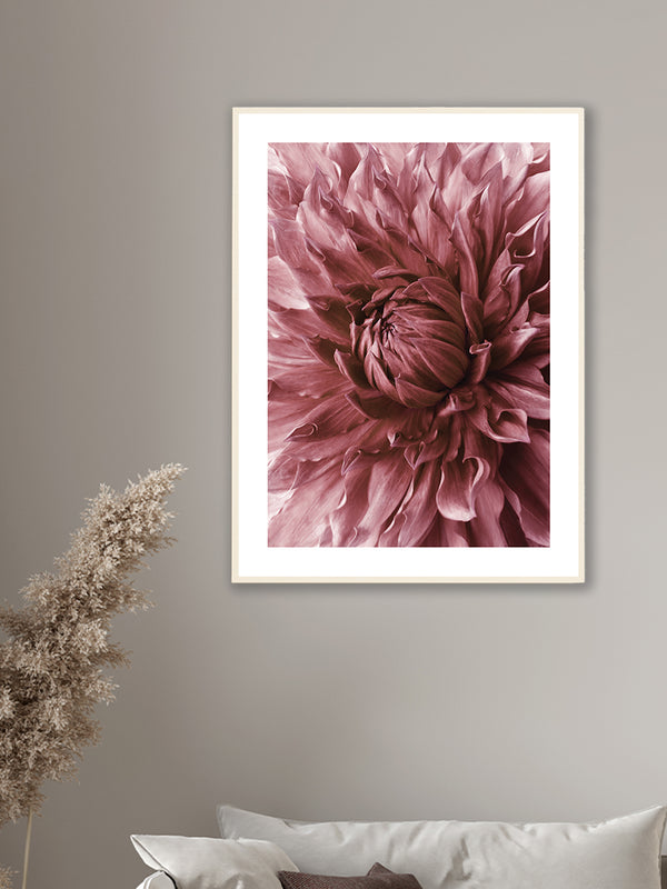 Red Dahlia - Poster